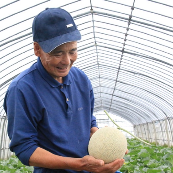 ★先行予約★【令和8年産】成澤さんのアンデスメロン（5kg箱満杯詰め）※青肉メロン　※令和8年6月中下旬頃より発送開始予定(成澤　秀雄) （5kg箱満杯詰め）※青肉メロン