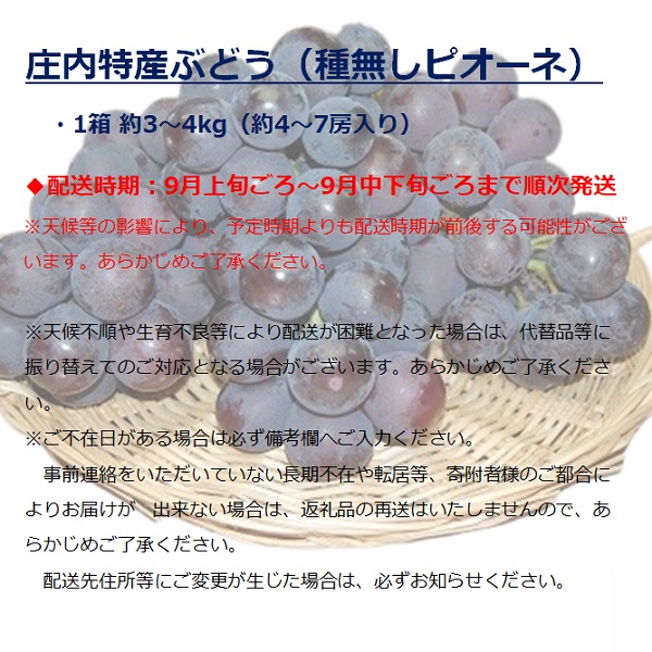 食の都庄内　庄内特産ぶどう（種なしピオーネ）　※令和7年9月上旬頃～順次配送(マルショウ青果)