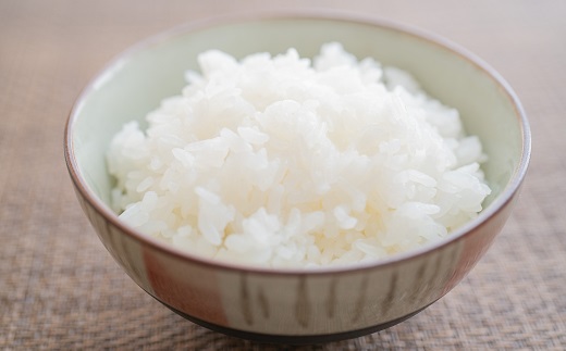 食の都庄内　【精米】特別栽培米雪若丸2㎏＆野菜＆豚肉セット [NY2-136(産直出前便)]