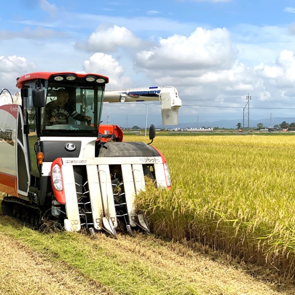 【令和7年産・玄米】グリーンファーム小野寺の特別栽培米雪若丸10kg　※10月中旬頃から順次配送予定(GF小野寺) 【玄米】雪若丸10kg