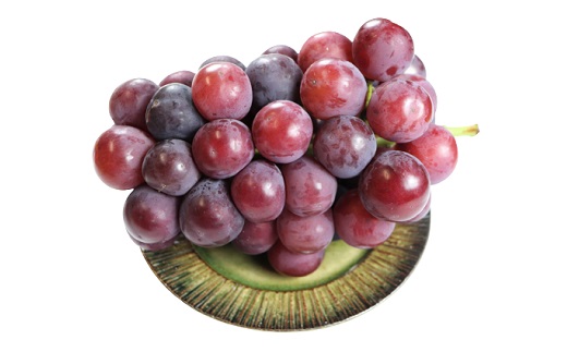 食の都庄内　庄内のぶどう【種無しピオーネ】約2kg※9月下旬～10月中旬配送(庄内旬青果) 【種無しピオーネ】約2kg