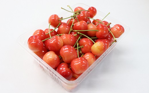 ★先行予約★【令和8年産】食の都庄内　《6・7・8月お届け-A》旬のフルーツの3ヶ月定期便 [HS4-F034(庄内旬青果)] 定期便3回《6・7・8月お届け-A》