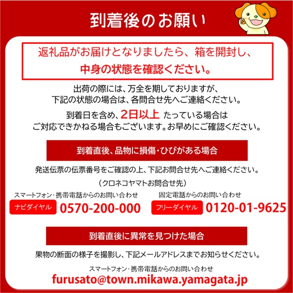 ★先行予約★【令和8年産】食の都庄内　庄内産さくらんぼ「佐藤錦」Lサイズ500gバラ詰め　※令和8年6月中旬～下旬頃発送予定 [HS4-266(庄内旬青果)] 佐藤錦　Lサイズ500g
