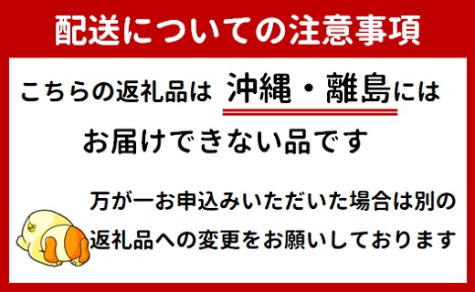 食の都庄内　【旬のフルーツ定期便10回】※2025年6月～2026年3月お届け(庄内旬青果) 【定期便10回】