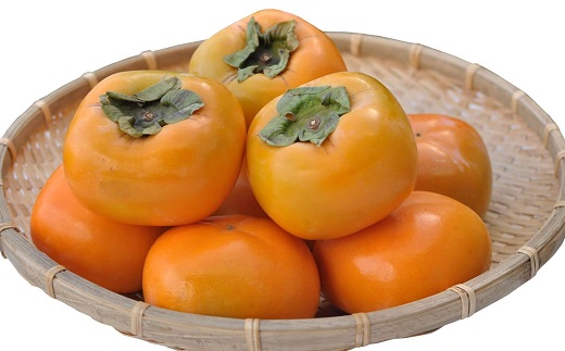 食の都庄内【令和7年産】《10・11・12月お届け-B》季節の贈り物-3ヶ月定期便(庄内旬青果) 《10・11・12月お届け-B》