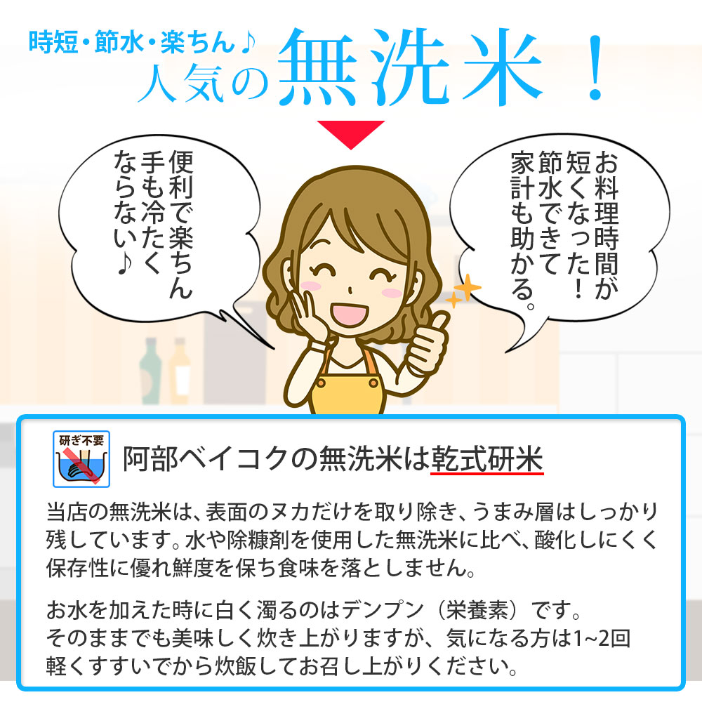 【11月～4月発送】無洗米山形県産はえぬき5kg×6回【定期便6回】(みかわ振興公社《有限会社　阿部ベイコク》) 【11月～4月発送】5kg×6回