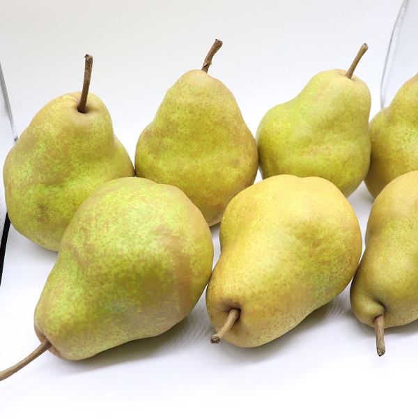 食の都庄内　《12月・1月・2月お届け》旬のフルーツ3ヶ月定期便(庄内旬青果) 12月:りんご、1月:洋梨、2月:いちご