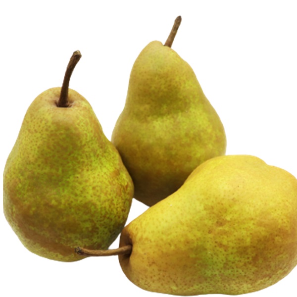 食の都庄内　《12・1・2月お届け-B》季節の贈り物-3ヶ月定期便(庄内旬青果) 12月:啓翁桜、 1月:洋梨、 2月:いちご