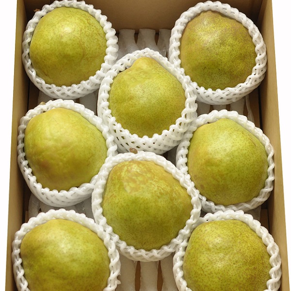 食の都庄内　《12・1・2・3月お届け》季節の贈り物-4ヶ月定期便(庄内旬青果)