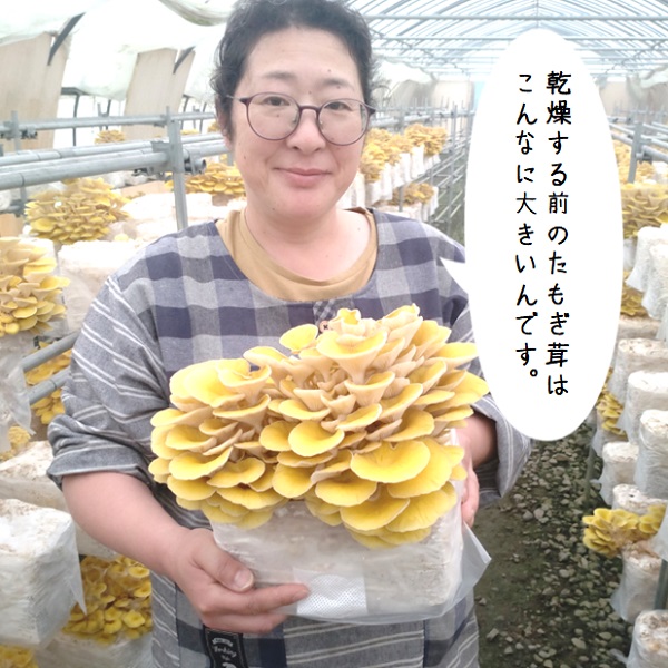 グリーンファーム小野寺の乾燥たもぎ茸　20g×4袋(GF小野寺)