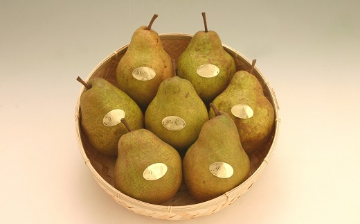 食の都庄内　庄内の洋梨「ラ・フランス」約5kg　※11月上旬～発送(庄内旬青果) 約5kg（10～18玉）