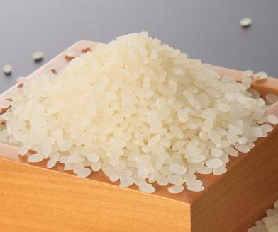 【令和7年産・精米】はえぬき20kg（5kg×4袋） [HM1-005(まいすたぁ)]