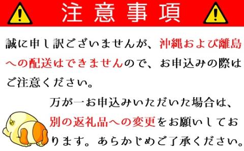 食の都庄内　【年末お届け】啓翁桜（10本束） [HS4-202(庄内旬青果)] 【年末お届け】（10本束）