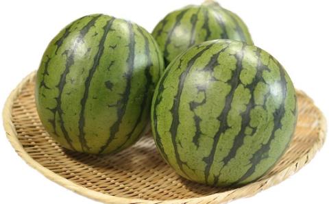 【令和7年産】食の都庄内　《6・7・8月お届け-B》旬のフルーツの3ヶ月定期便※令和7年産(庄内旬青果)