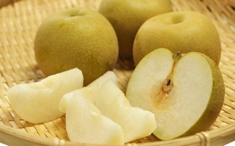 食の都庄内【令和7年産】《7・8・9月お届け-B》旬のフルーツの3ヶ月定期便(庄内旬青果) 《7・8・9月お届け-B》