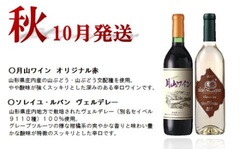 食の都庄内　【定期便】月山ワイン　春ワインスタート（2026年4月より配送） [HS1-011(庄内たがわ農協)]