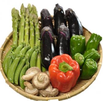 食の都庄内　【3ヶ月お届け】庄内野菜の定期便 【3ヶ月お届け】