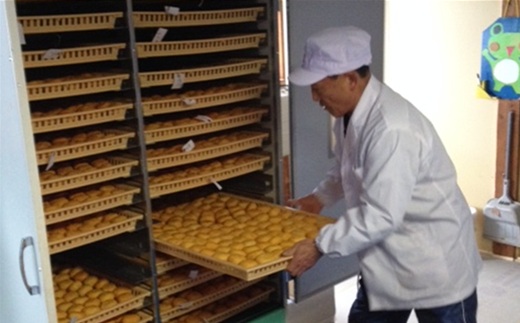 食の都庄内　干し柿（枯露柿）300g×6袋　※12月中旬頃から順次発送開始 [HS1-009(庄内たがわ農協)] 300g×6袋