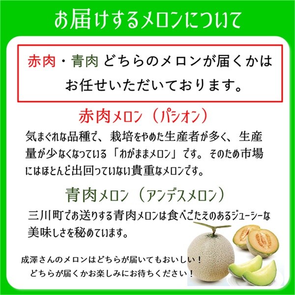 ★先行予約★【令和8年産】成澤さんの厳選！【2玉入】高糖度大玉メロン ※令和8年6月下旬頃より発送開始予定(成澤　秀雄) 【2玉入】高糖度大玉（秀品　5L以上）