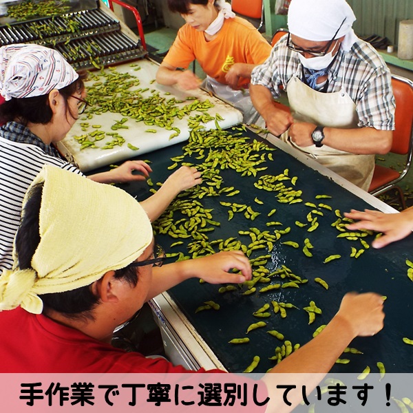 【2kg小分け8袋】横川枝豆組合の庄内ちゃまめ（250g×8袋）(横川枝豆組合) 2kg小分け（250g×8袋）