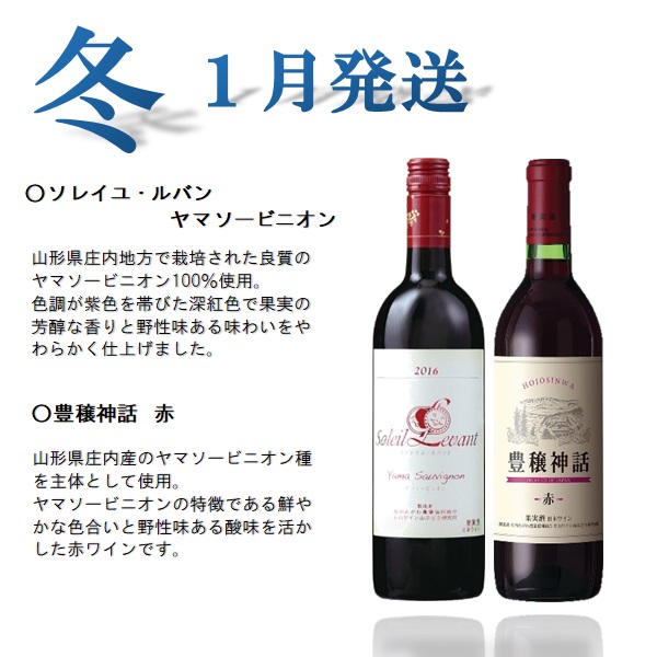 食の都庄内　【定期便】月山ワイン　夏ワインスタート（2025年7月配送開始）(庄内たがわ農協)