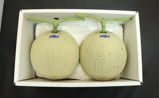 ★先行予約★【令和8年産】食の都庄内　庄内砂丘のアールスメロン2玉　※令和8年8月中旬～9月下旬頃発送予定 [HS4-023(庄内旬青果)] アールスメロン2玉