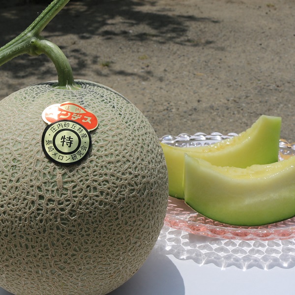 ★先行予約★【令和8年産】成澤さんのアンデスメロン（5kg箱満杯詰め）※青肉メロン　※令和8年6月中下旬頃より発送開始予定(成澤　秀雄) （5kg箱満杯詰め）※青肉メロン