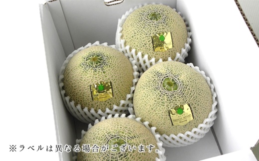 【2026年産 先行予約】食の都庄内　プロの技！庄内砂丘アンデスメロン　※2026年7月上旬頃より発送開始予定 [HS2-017(産直みかわ)]	 アンデスメロン（青肉）（1箱3～4玉入り）