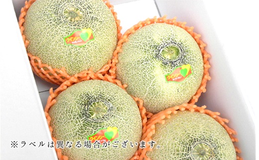 【2026年産 先行予約】食の都庄内　プロの技！庄内砂丘　赤肉メロン　※2026年7月上旬頃より発送開始予定 [HS2-010(産直みかわ)] 赤肉メロン（1箱3～4玉入り）