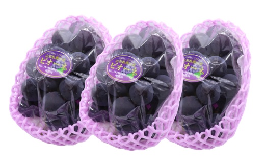 食の都庄内　庄内のぶどう【種無しピオーネ】約4kg※9月下旬～10月中旬配送(庄内旬青果) 【種無しピオーネ】約4kg