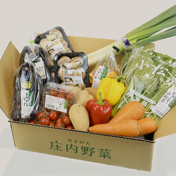 食の都庄内　【12ヶ月お届け】庄内野菜の定期便(庄内旬青果) 【12ヶ月お届け】