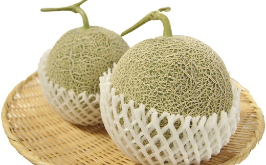 ★先行予約★【令和8年産】食の都庄内　《7・8・9月お届け-B》旬のフルーツの3ヶ月定期便 [HS4-F060(庄内旬青果)] 定期便3回《7・8・9月お届け-B》