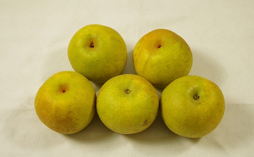 食の都庄内【令和7年産】《8・9・10月お届け-B》旬のフルーツの3ヶ月定期便(庄内旬青果) 《8・9・10月お届け-B》