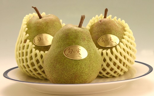 食の都庄内【令和7年産】《9・10・11月お届け-B》旬のフルーツの3ヶ月定期便(庄内旬青果) 《9・10・11月お届け-B》