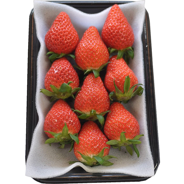 食の都庄内　《12月・1月・2月お届け》旬のフルーツ3ヶ月定期便(庄内旬青果) 12月:りんご、1月:洋梨、2月:いちご