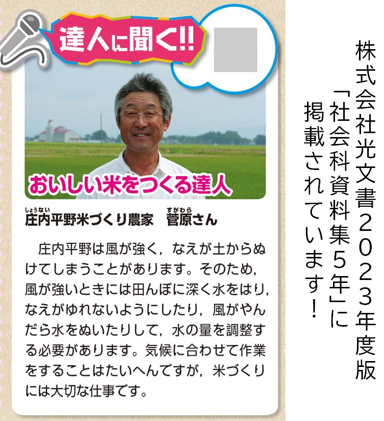 【令和7年産・精米】九代目又七の有機ひとめぼれ27kg※9月下旬頃から順次配送(九代目又七) 【令和7年産・精米】27kg