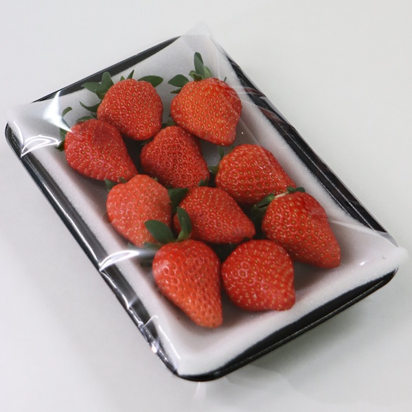 食の都庄内　《12・1・2月お届け-B》季節の贈り物-3ヶ月定期便(庄内旬青果) 12月:啓翁桜、 1月:洋梨、 2月:いちご