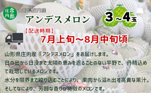 【2026年産 先行予約】食の都庄内　アンデスメロン 3～4玉※2026年7月上旬頃より発送開始予定 [HS1-023(庄内たがわ農協)] アンデスメロン　3～4玉