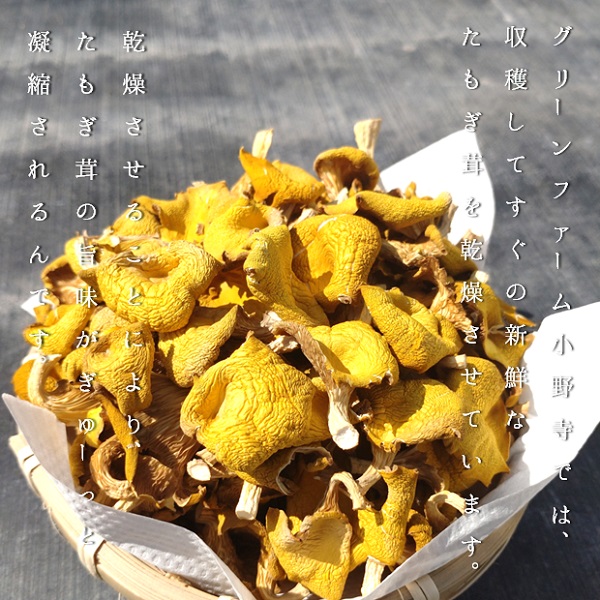 グリーンファーム小野寺の乾燥たもぎ茸　20g×4袋(GF小野寺)