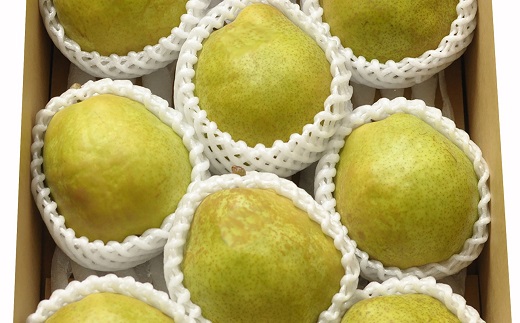 食の都庄内　庄内の洋梨「ラ・フランス」約10kg　※11月上旬～発送(庄内旬青果) 約10kg（5kg×2箱）