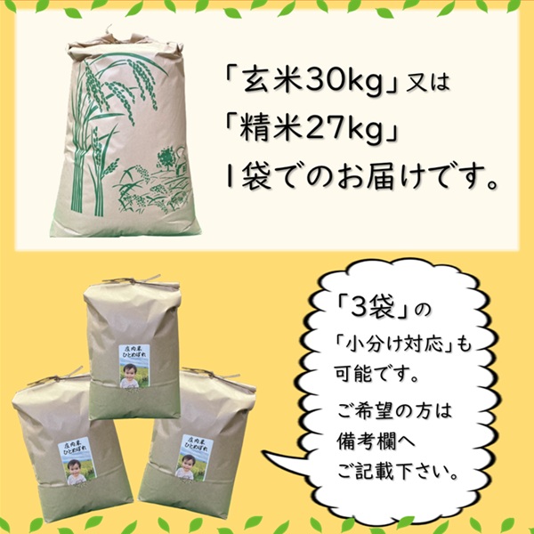 【令和7年産・玄米】ecofarmすがわらの庄内米ひとめぼれ30kg [PS5-018(ecofarmすがわら)] 【玄米】ひとめぼれ　30kg
