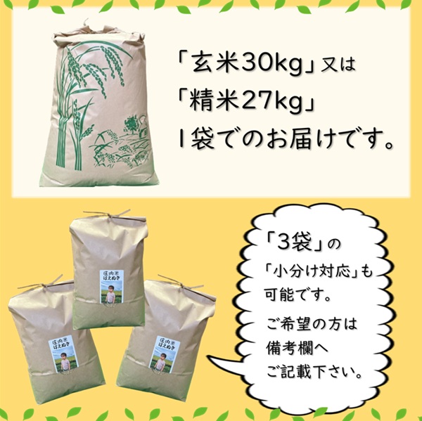 【令和7年産・精米】ecofarmすがわらの庄内米はえぬき27kg [PS5-019(ecofarmすがわら)] 【精米】はえぬき　27kg