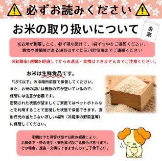 【令和7年産・精米】つや姫10kg+つや姫パックライス4P [HM1-001(まいすたぁ)]