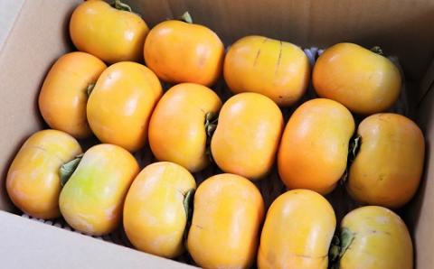 食の都庄内　庄内柿（元祖種無し渋抜き）約5kg※10月中下旬～11月下旬配送(庄内旬青果) 約5kg