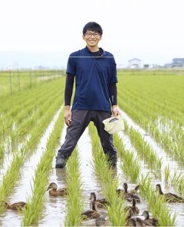 山形ゆりあふぁーむの有機栽培つや姫玄米パックごはん20P(ゆりあふぁーむ)