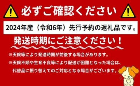 【令和7年産】食の都庄内　《6・7・8月お届け-B》旬のフルーツの3ヶ月定期便※令和7年産(庄内旬青果)
