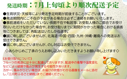 【2026年産 先行予約】食の都庄内　プロの技！庄内砂丘アンデスメロン　※2026年7月上旬頃より発送開始予定 [HS2-017(産直みかわ)]	 アンデスメロン（青肉）（1箱3～4玉入り）