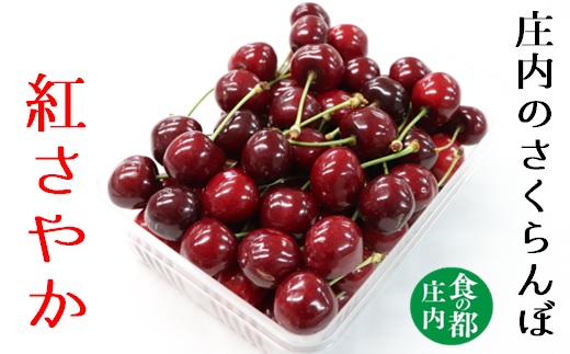 ★先行予約★【令和8年産】食の都庄内　庄内産さくらんぼ「紅さやか」800gバラ詰め　※令和8年6月上旬～中旬頃発送予定 [HS4-003(庄内旬青果)] 800g