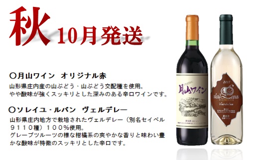食の都庄内　【定期便】月山ワイン　冬ワインスタート(2025年1月配送開始)(庄内たがわ農協)