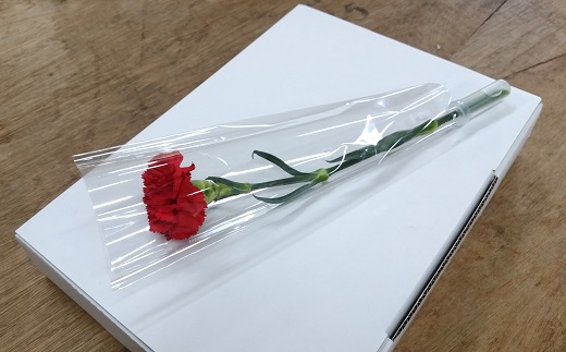 食の都庄内　【母の日ギフト】庄内グリーンアスパラ＆庄内豚ベーコン（カーネーション付き） [NY2-181(産直出前便)]